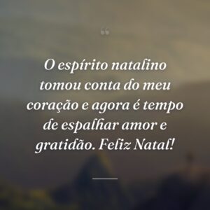 O espírito natalino tomou conta do meu coração e agora é tempo de espalhar amor e gratidão. Feliz Natal!