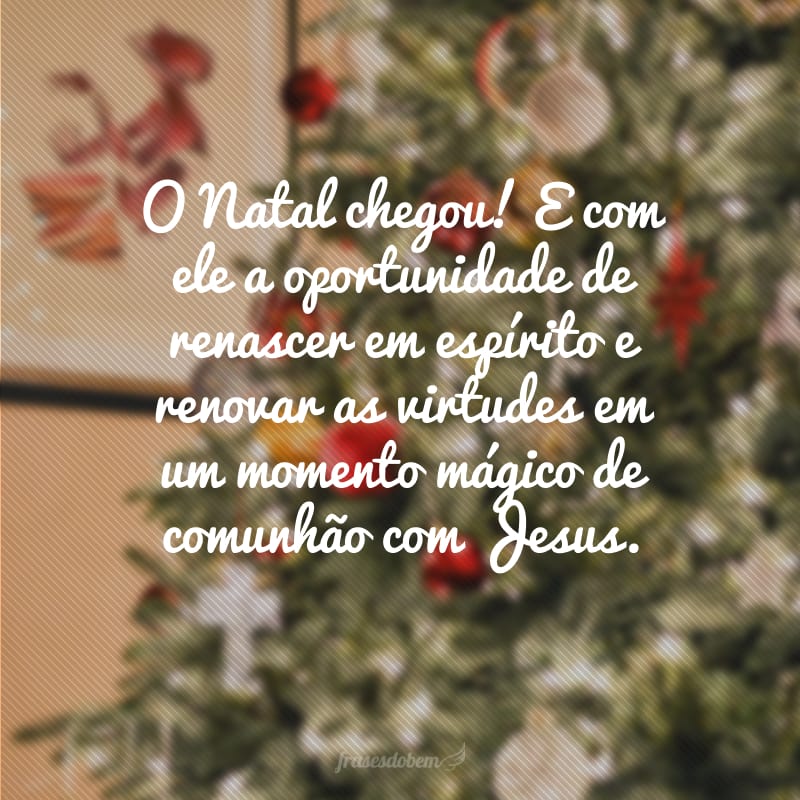 O Natal chegou! E com ele a oportunidade de renascer em espírito e renovar as virtudes em um momento mágico de comunhão com Jesus.