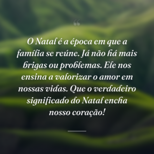 O Natal é a época em que a família se reúne. Já não há mais brigas ou problemas. Ele nos ensina a valorizar o amor em nossas vidas. Que o verdadeiro significado do Natal encha nosso coração!