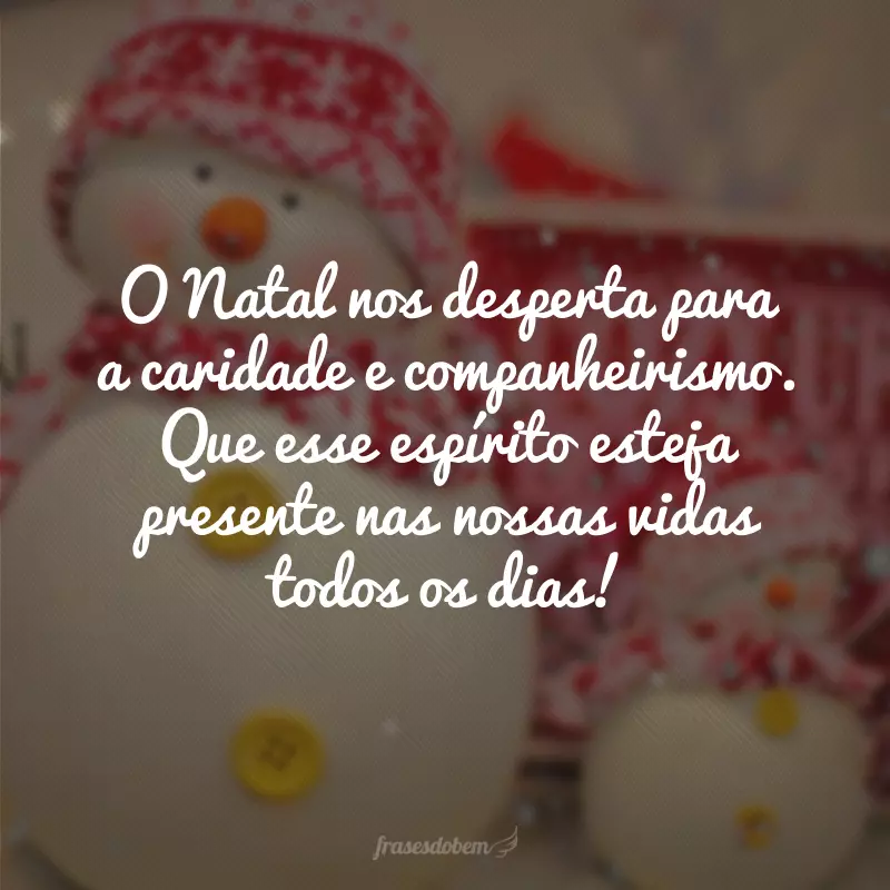 O Natal nos desperta para a caridade e companheirismo. Que esse espírito esteja presente nas nossas vidas todos os dias!