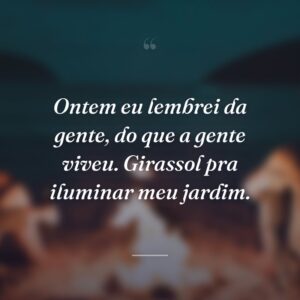 Ontem eu lembrei da gente, do que a gente viveu. Girassol pra iluminar meu jardim.