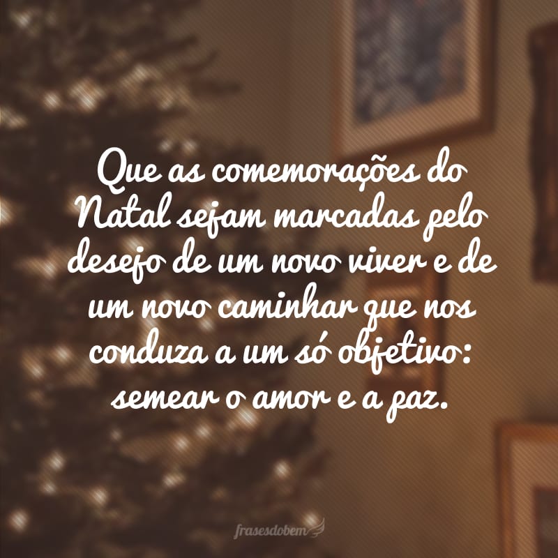 Que as comemorações do Natal sejam marcadas pelo desejo de um novo viver e de um novo caminhar que nos conduza a um só objetivo: semear o amor e a paz. 