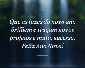 Que as luzes do novo ano brilhem e tragam novos projetos e muito sucesso. Feliz Ano Novo!