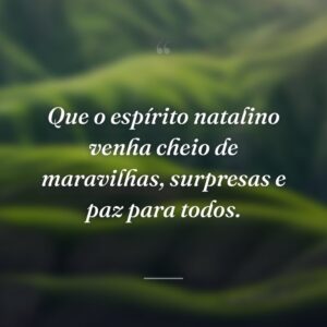 Que o espírito natalino venha cheio de maravilhas, surpresas e paz para todos.