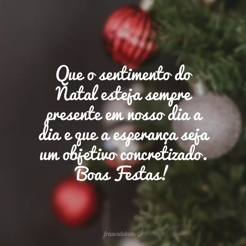 Que o sentimento do Natal esteja sempre presente em nosso dia a dia e que a esperança seja um objetivo concretizado. Boas Festas!