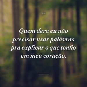 Quem dera eu não precisar usar palavras pra explicar o que tenho em meu coração.
