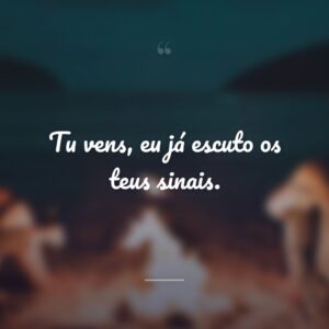 Tu vens, eu já escuto os teus sinais.