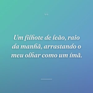 Um filhote de leão, raio da manhã, arrastando o meu olhar como um ímã.