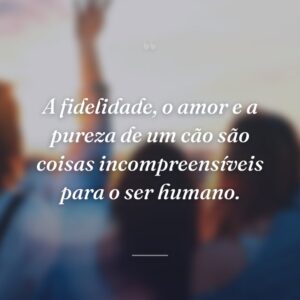 A fidelidade, o amor e a pureza de um cão são coisas incompreensíveis para o ser humano.