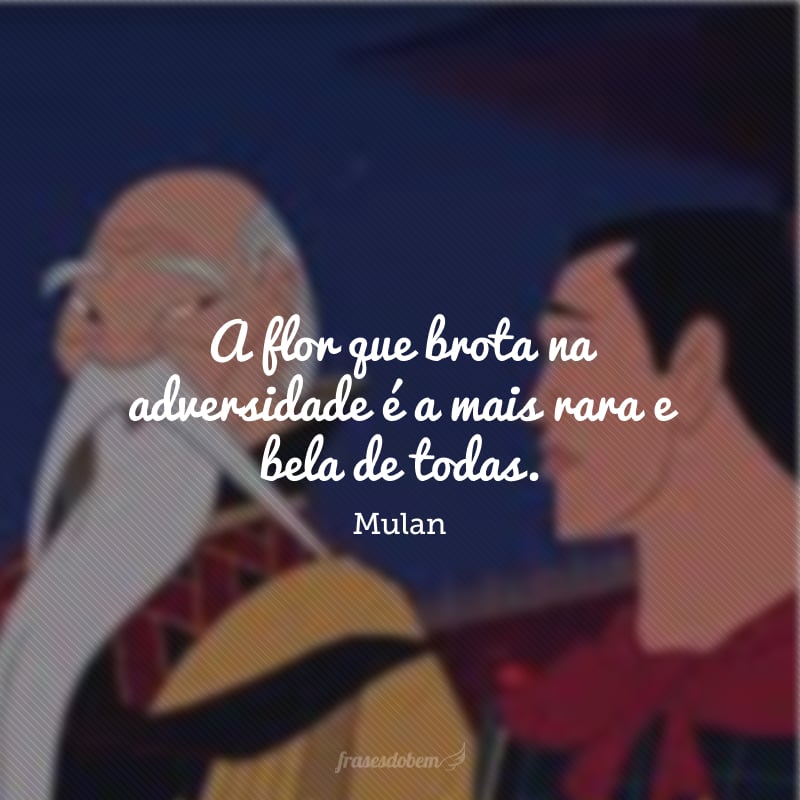A flor que brota na adversidade é a mais rara e bela de todas.