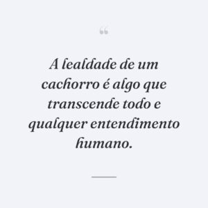 A lealdade de um cachorro é algo que transcende todo e qualquer entendimento humano.