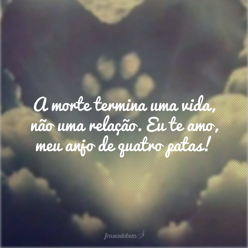 A morte termina uma vida, não uma relação. Eu te amo, meu anjo de quatro patas!