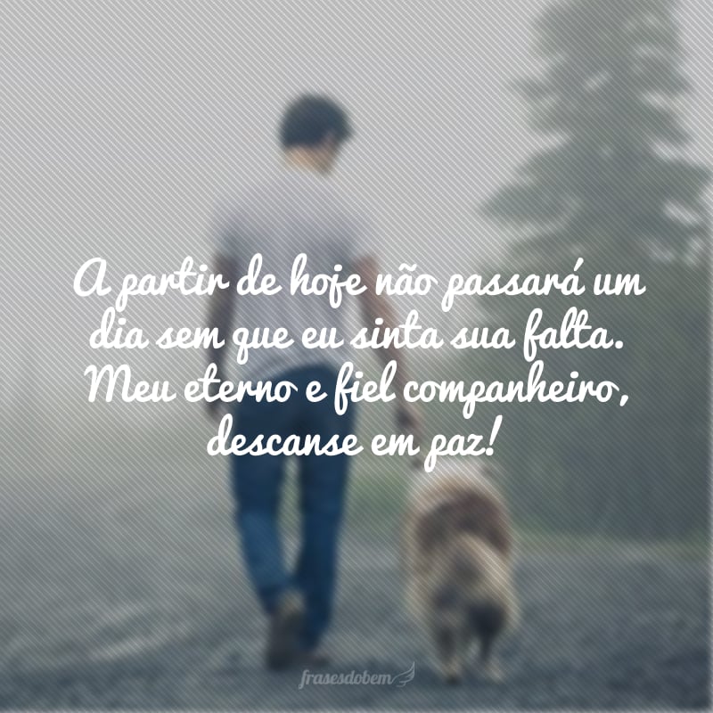 A partir de hoje não passará um dia sem que eu sinta sua falta. Meu eterno e fiel companheiro, descanse em paz!