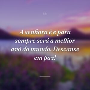 A senhora é e para sempre será a melhor avó do mundo. Descanse em paz!