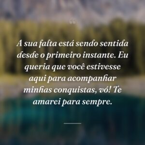 A sua falta está sendo sentida desde o primeiro instante. Eu queria que você estivesse aqui para acompanhar minhas conquistas, vó! Te amarei para sempre.