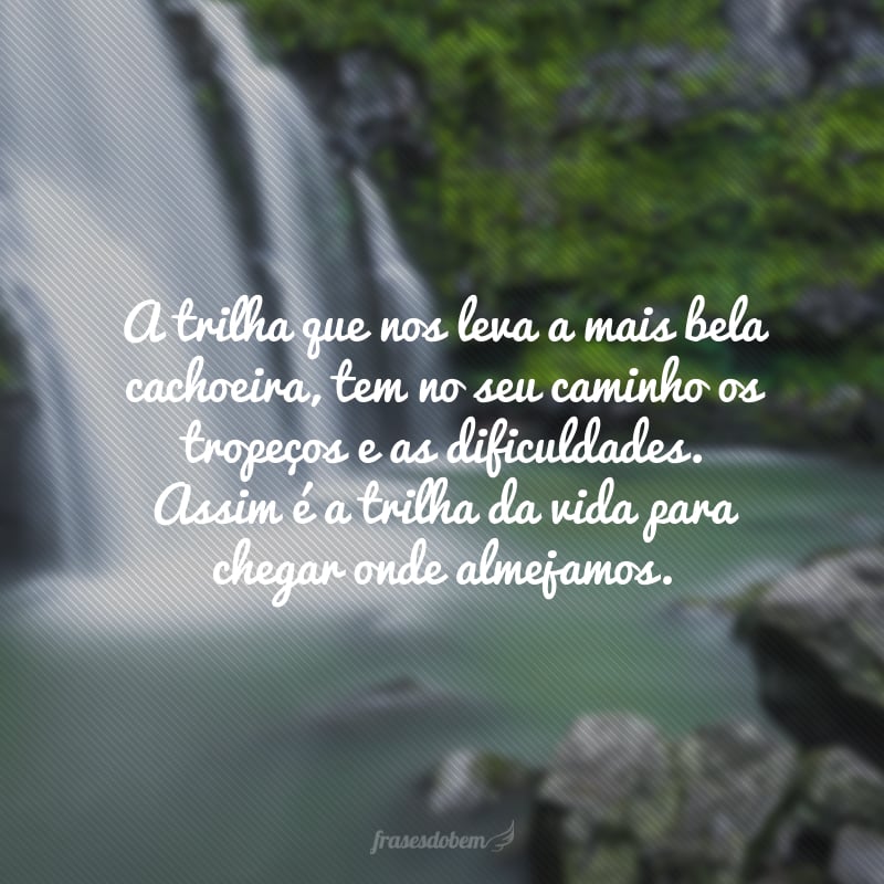 A trilha que nos leva a mais bela cachoeira, tem no seu caminho os tropeços e as dificuldades. Assim é a trilha da vida para chegar onde almejamos.