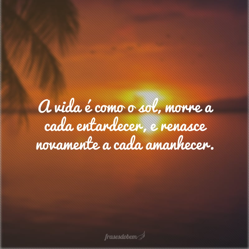 A vida é como o sol, morre a cada entardecer, e renasce novamente a cada amanhecer.