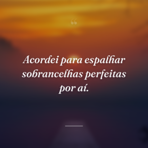 Acordei para espalhar sobrancelhas perfeitas por aí.