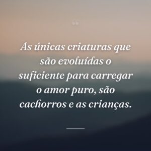 As únicas criaturas que são evoluídas o suficiente para carregar o amor puro, são cachorros e as crianças.