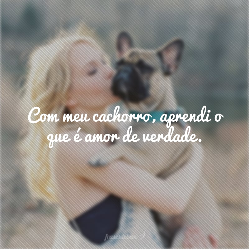 Com meu cachorro, aprendi o que é amor de verdade. 