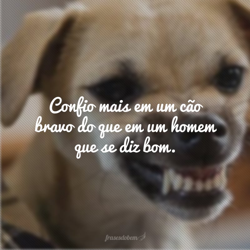 Confio mais em um cão bravo do que em um homem que se diz bom. 