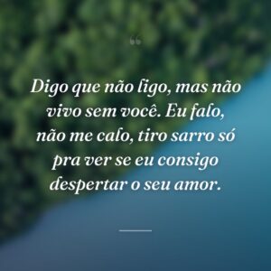 Digo que não ligo, mas não vivo sem você. Eu falo, não me calo, tiro sarro só pra ver se eu consigo despertar o seu amor.