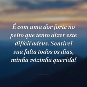 É com uma dor forte no peito que tento dizer este difícil adeus. Sentirei sua falta todos os dias, minha vózinha querida!