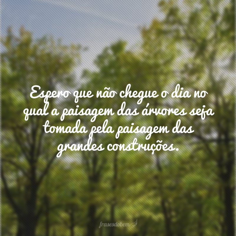 Espero que não chegue o dia no qual a paisagem das árvores seja tomada pela paisagem das grandes construções.