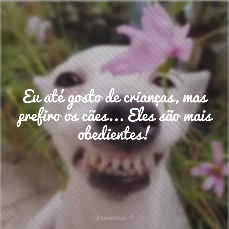 Eu até gosto de crianças, mas prefiro os cães... Eles são mais obedientes!