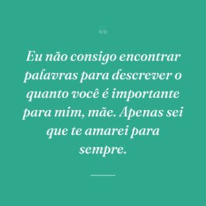 Eu não consigo encontrar palavras para descrever o quanto você é importante para mim, mãe. Apenas sei que te amarei para sempre.