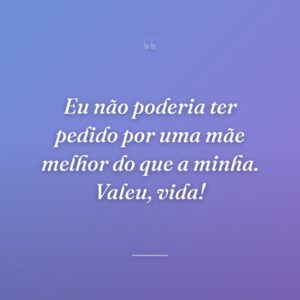 Eu não poderia ter pedido por uma mãe melhor do que a minha. Valeu, vida!