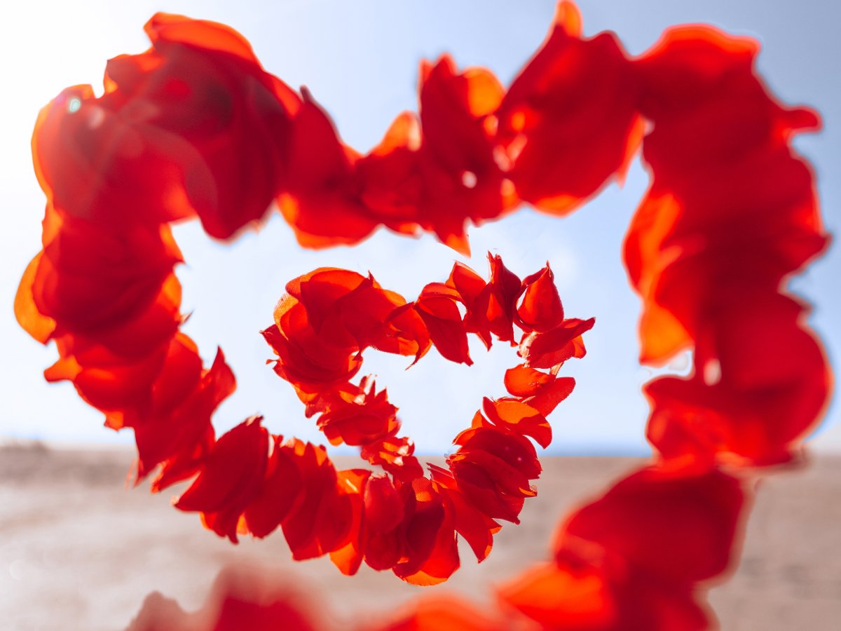 40 frases de Valentine’s Day para aquecer corações apaixonados