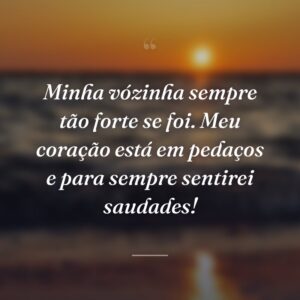 Minha vózinha sempre tão forte se foi. Meu coração está em pedaços e para sempre sentirei saudades!