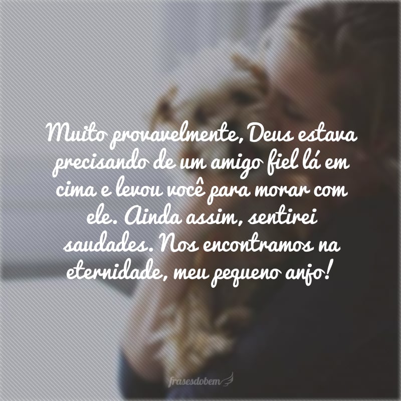 Muito provavelmente, Deus estava precisando de um amigo fiel lá em cima e levou você para morar com ele. Ainda assim, sentirei saudades. Nos encontramos na eternidade, meu pequeno anjo! 