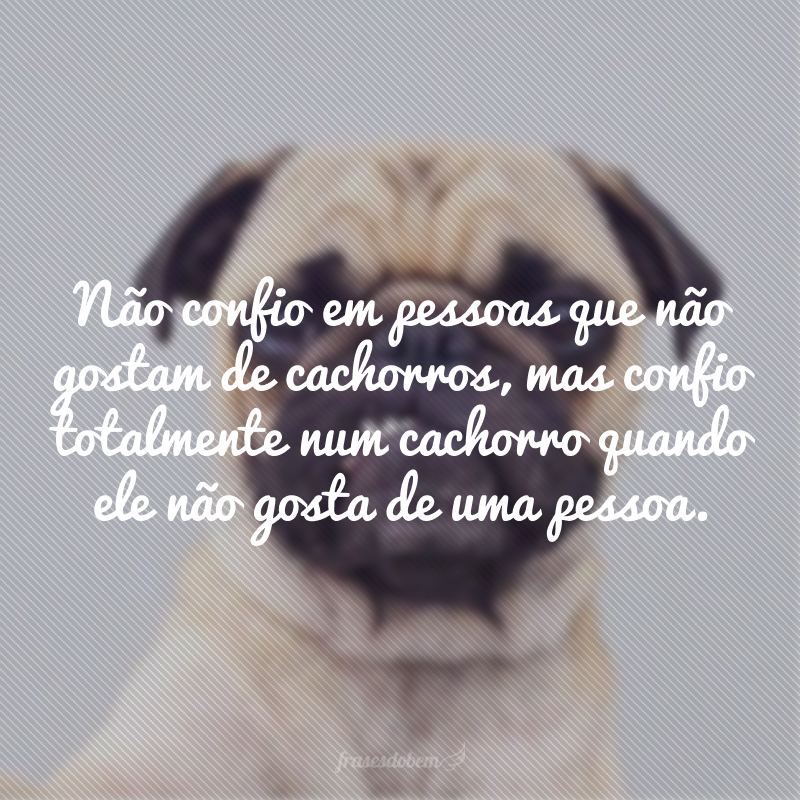 Não confio em pessoas que não gostam de cachorros, mas confio totalmente num cachorro quando ele não gosta de uma pessoa.