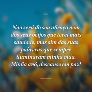 Não será do seu abraço nem dos seus beijos que terei mais saudade, mas sim das suas palavras que sempre iluminaram minha vida. Minha avó, descanse em paz!
