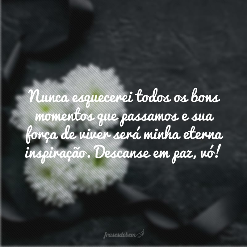 Nunca esquecerei todos os bons momentos que passamos e sua força de viver será minha eterna inspiração. Descanse em paz, vó!