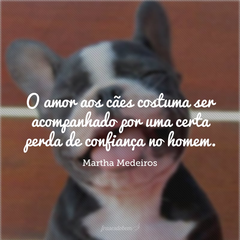 O amor aos cães costuma ser acompanhado por uma certa perda de confiança no homem. 