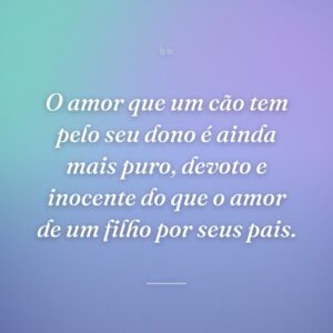 O amor que um cão tem pelo seu dono é ainda mais puro, devoto e inocente do que o amor de um filho por seus pais.