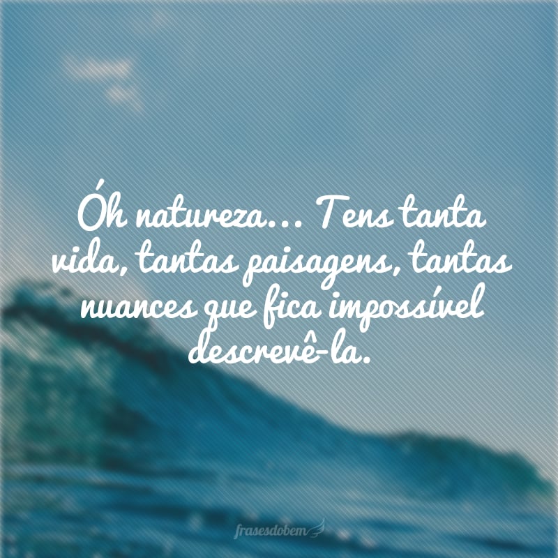 Óh natureza... Tens tanta vida, tantas paisagens, tantas nuances que fica impossível descrevê-la.