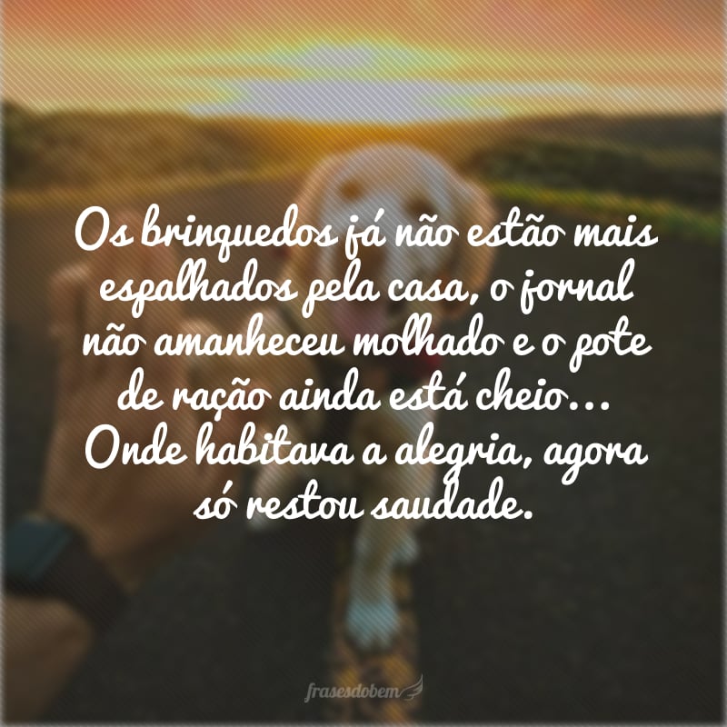 Os brinquedos já não estão mais espalhados pela casa, o jornal não amanheceu molhado e o pote de ração ainda está cheio... Onde habitava a alegria, agora só restou saudade.