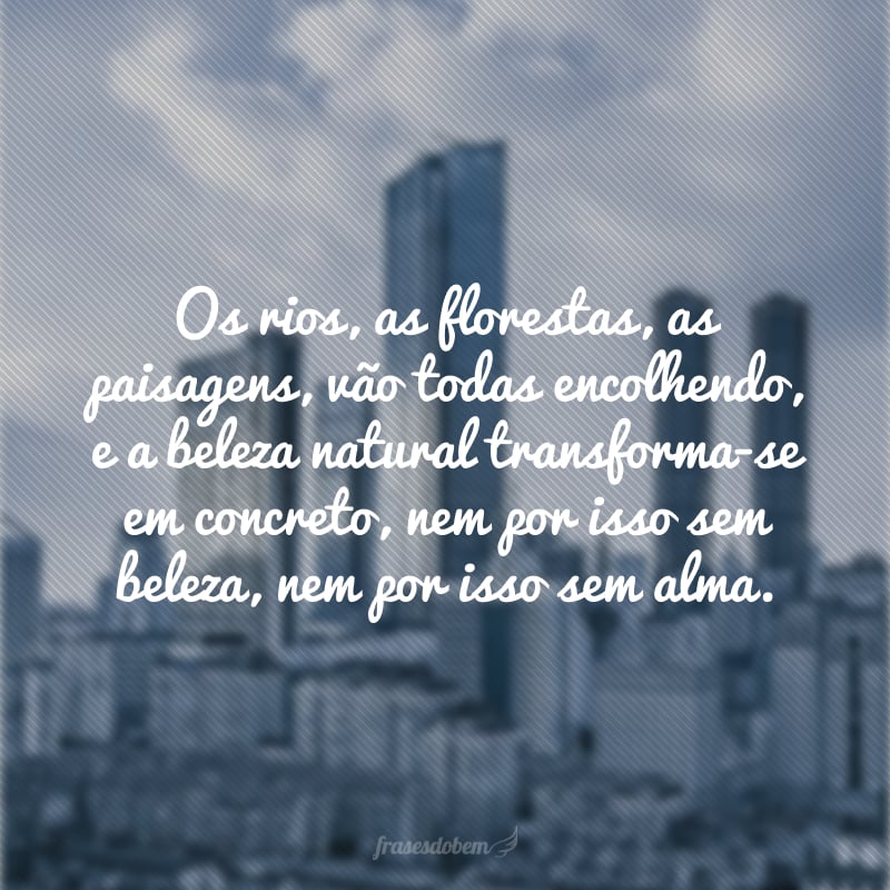 Os rios, as florestas, as paisagens, vão todas encolhendo, e a beleza natural transforma-se em concreto, nem por isso sem beleza, nem por isso sem alma.