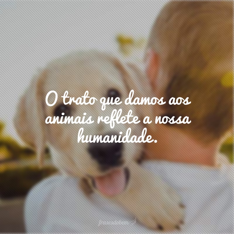 O trato que damos aos animais reflete a nossa humanidade.