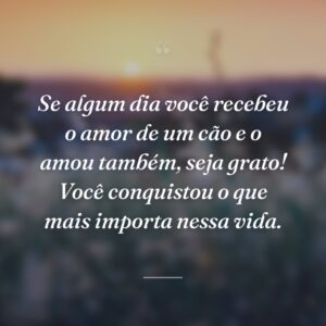 Se algum dia você recebeu o amor de um cão e o amou também, seja grato! Você conquistou o que mais importa nessa vida.