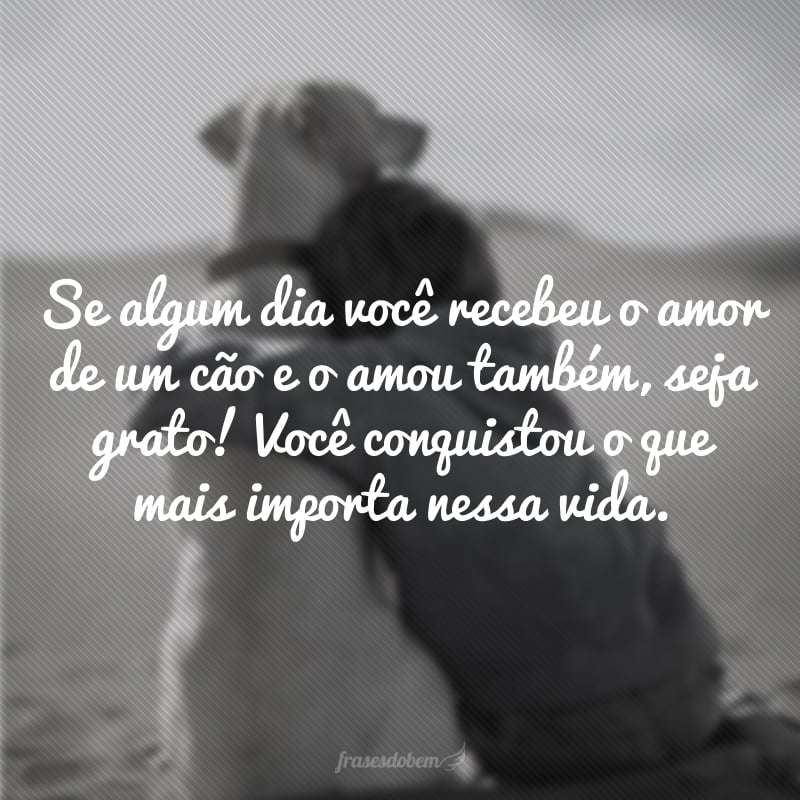 Se algum dia você recebeu o amor de um cão e o amou também, seja grato! Você conquistou o que mais importa nessa vida. 