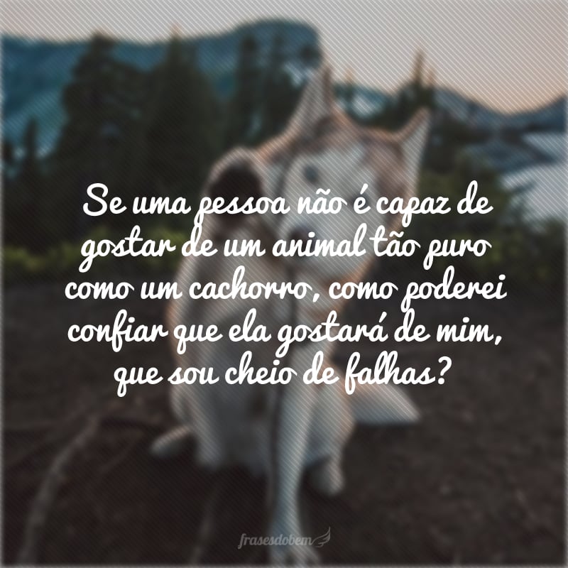 Se uma pessoa não é capaz de gostar de um animal tão puro como um cachorro, como poderei confiar que ela gostará de mim, que sou cheio de falhas? 