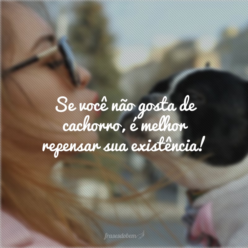 Se você não gosta de cachorro, é melhor repensar sua existência!