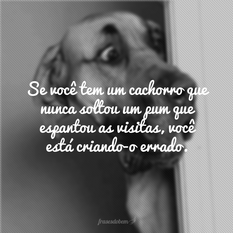 Se você tem um cachorro que nunca soltou um pum que espantou as visitas, você está criando-o errado. 