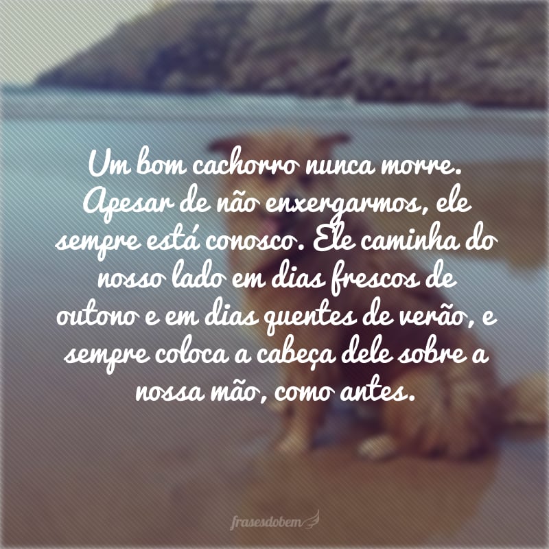 Um bom cachorro nunca morre. Apesar de não enxergarmos, ele sempre está conosco. Ele caminha do nosso lado em dias frescos de outono e em dias quentes de verão, e sempre coloca a cabeça dele sobre a nossa mão, como antes.