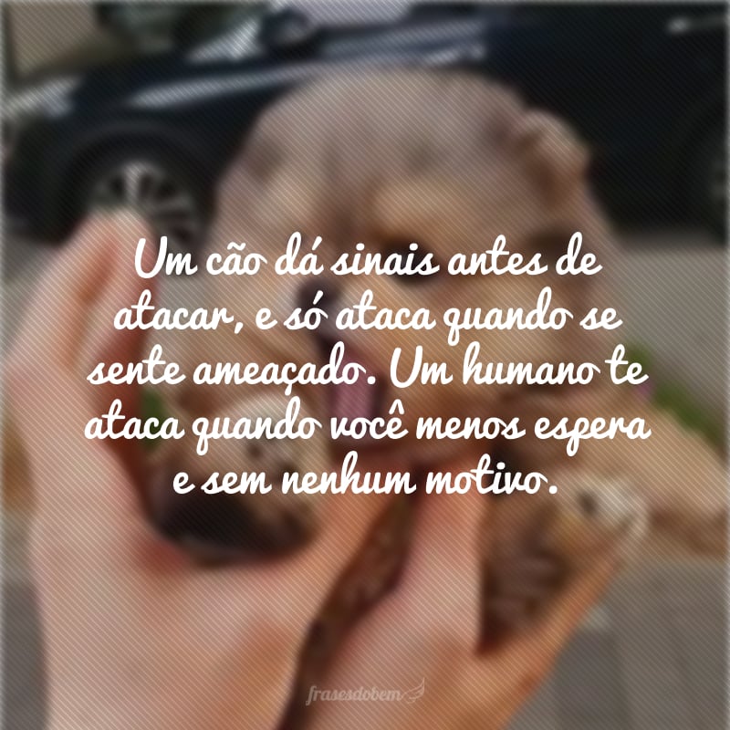 Um cão dá sinais antes de atacar, e só ataca quando se sente ameaçado. Um humano te ataca quando você menos espera e sem nenhum motivo. 